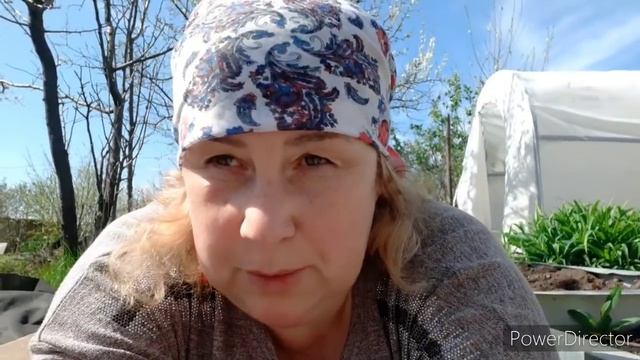 23 апреля 2022 г. смотреть онлайн