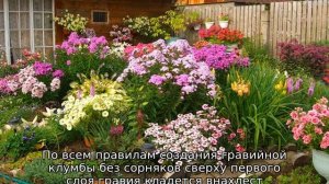 Как сделать клумбу без сорняков