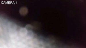 РАЗОБЛАЧЕНИЕ КАНАЛ PARANORMAL POINT ПАРАНОРМАЛЬНАЯ ТОЧКА | ОТПРАВЛЯЕМ КАНАЛ В АНАЛ И ТОЧКА