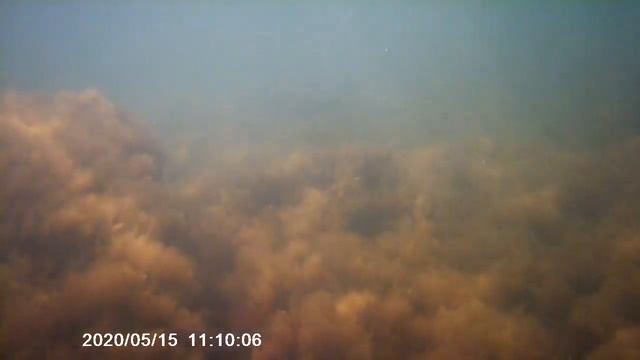 Трофейный карп смотреть онлайн