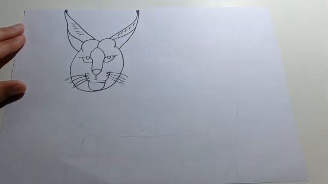 Cómo dibujar caracal para niños смотреть онлайн