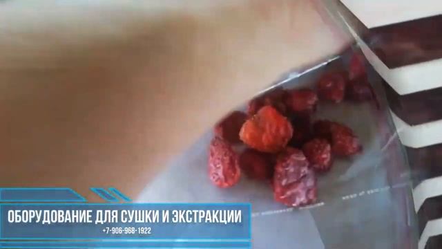 Влияние температуры сушки на качество готовых сушеных продуктов смотреть онлайн