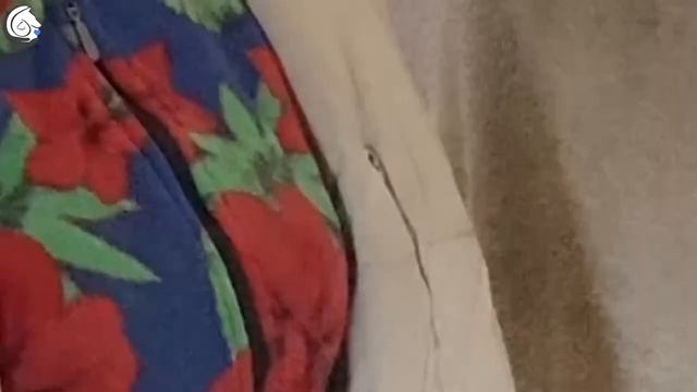 Экскурсия по приюту "Подари жизнь"