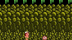 Hudson's Adventure Island (NES) полное прохождение