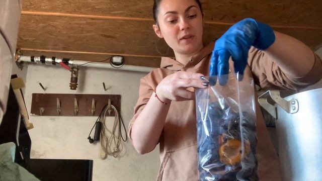 Заготовка фруктов на зиму. Заморозка сливы на пастилу. Фрипсы из сливы. смотреть онлайн