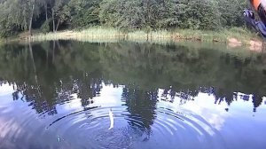 Рыбалка на Рузском Водохранилище! Половили окуня, щучек, судаков! Великолепно отдохнули на природе!