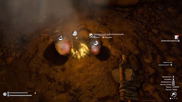 Green Hell Духи Амазонии смотреть онлайн