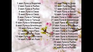 Лунный календарь 2008 года