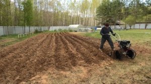 Посадка картофеля мотоблоком МКМ 3 про. Весь комплекс работ в одном ролике. Работа с удовольствием!