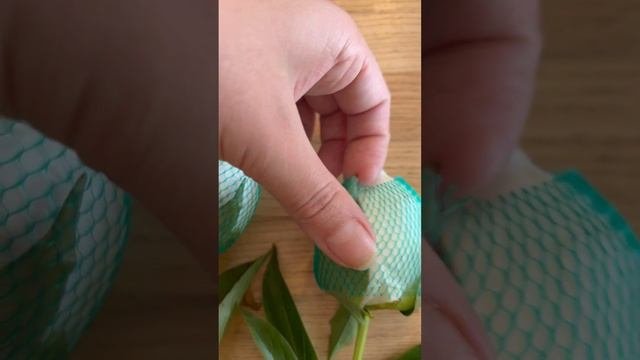 Как собрать букет невесты из пионов в бутонах ?