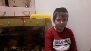 В лесу недолго до беды.