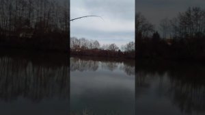 Daiwa aqualite heavy feeder 3.90m