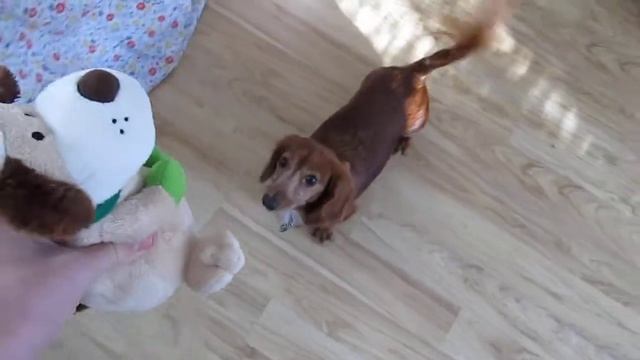 Canon Powershot SX-130 IS (HD) test смотреть онлайн