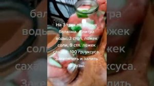 Рецепт соленых арбузов