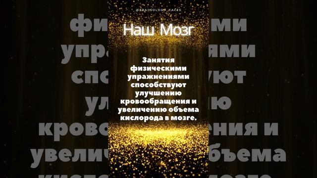 Физические Упражнения и Мозг: Путь к Оздоровлению