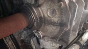 Ford 2.5 Duratec Engine: Common Problems and Reliability