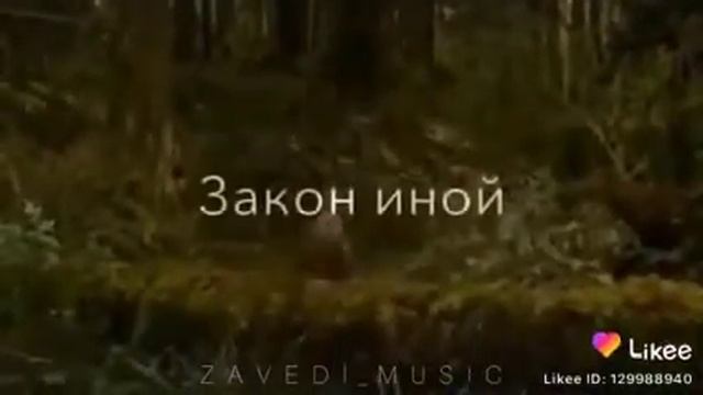 Волчий  закон смотреть онлайн