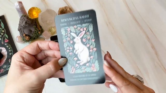 ? WILD WHISKERS ? ORACLE | UNBOXING смотреть онлайн