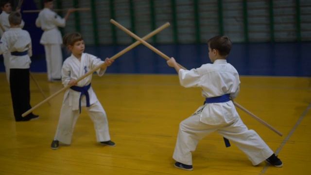 KOBUDO KYOKUSHIN. SEMINAR #14 смотреть онлайн