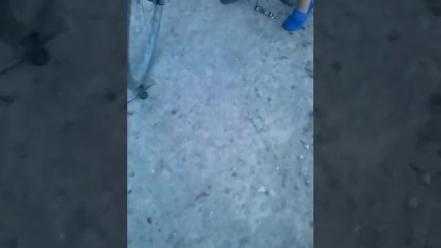 4часть шишме (Радник)  мы увидели Змею Fuselage Said и Алина испугались смотреть онлайн