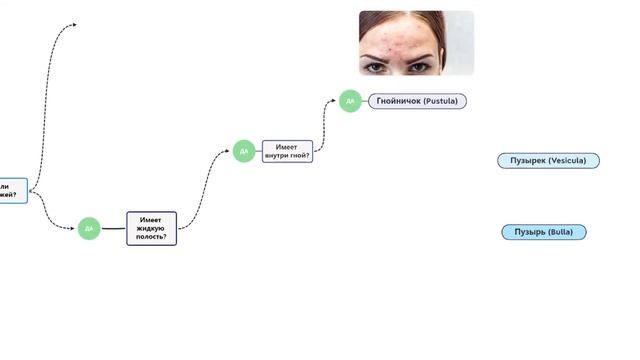 ПЕРВИЧНЫЕ ЭЛЕМЕНТЫ КОЖИ. АЛГОРИТМ ДИАГНОСТИКИ смотреть онлайн