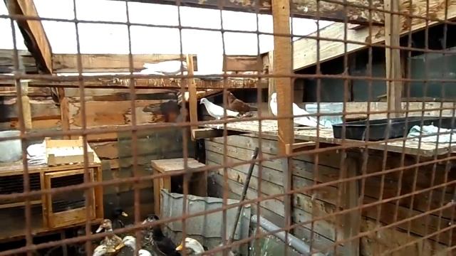 Первый СНЕГ. смотреть онлайн