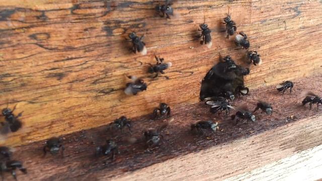 Unidentified lubricious substance смотреть онлайн