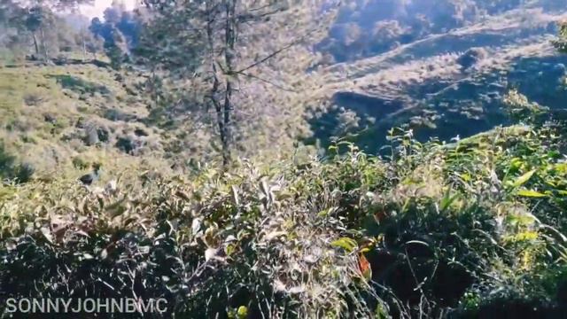 Gardu Teh Nglier Anker ? || Kembang Langit || Blado смотреть онлайн