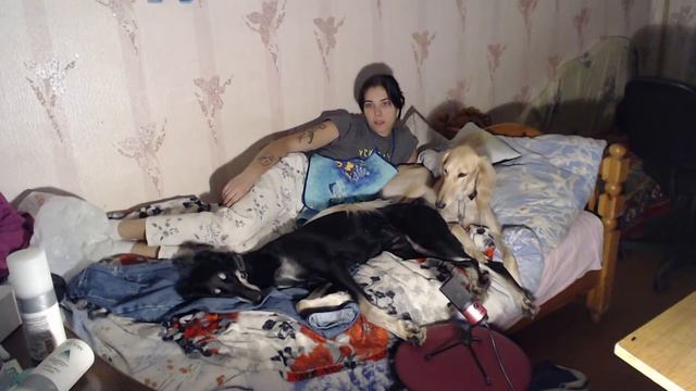 готовлю шарлотку