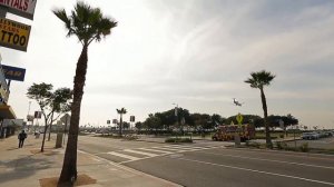 Правила жизни 100-летнего человека. США