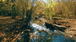 ПАРК АВИАТОРОВ РОСТОВ НА ДОНУ