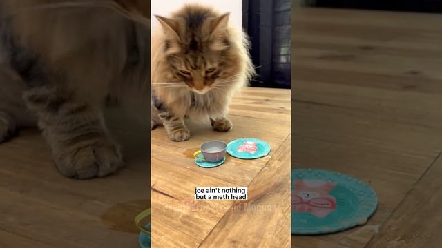 Kitty Soap Opera: Chapter 16... смотреть онлайн