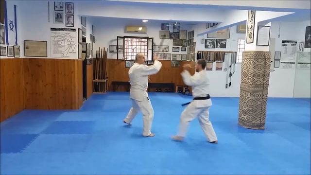 Ryukyu Kobudo Shimbukan, Kobudo Fighting Drills, Shin Gi Kan Dojo Haifa, Israel смотреть онлайн