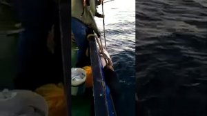 Ловля палтуса охотское море