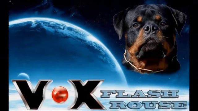 Продаются щенки ротвейлера смотреть онлайн