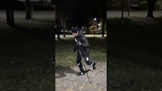 Лыжная Имитация