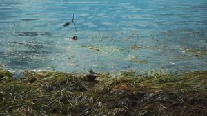 Попали в эпицентр грозы. Рыбалка в заливе Сыда. Краснотуранск. Отпуск. День #6