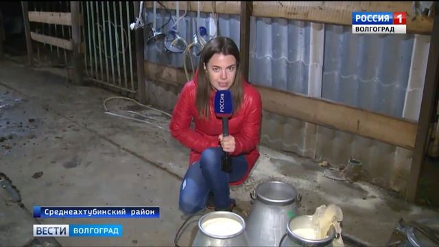 Как перевод часов скажется на производстве молока? смотреть онлайн