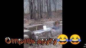 когда сломался телек когда мобильник сдох
