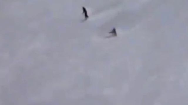 STINGER DOWNHILL смотреть онлайн