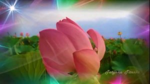 Неземная  Александр Кэтлин   Nezemnaya Aleksandr Ketlin