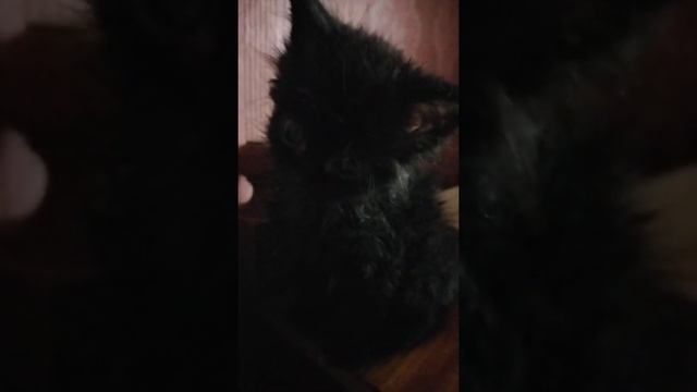 Как уложить неваляшку спать?? смотреть онлайн