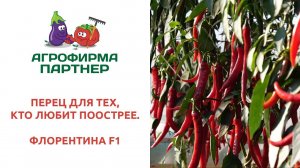 ПЕРЕЦ ДЛЯ ТЕХ, КТО ЛЮБИТ ПООСТРЕЕ – ФЛОРЕНТИНА F1