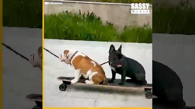 Fails