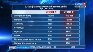 Штрафы за незаконный улов рыбы станут больше в 10 раз