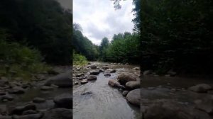 Река, шум бегущей воды, Юг Азербайджана, Талышские горы