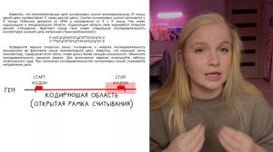 ОШИБКИ ЕГЭ 2022: ОТКРЫТАЯ РАМКА СЧИТЫВАНИЯ