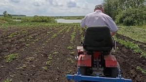 мотоблок штенли 1900 с адаптером, акучивание картофеля.