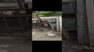 VID_20240822_160830.mp4