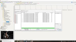 Быстрый отбор и переименование RAW файлов - Faststone (универсальная программа для фотографа).
